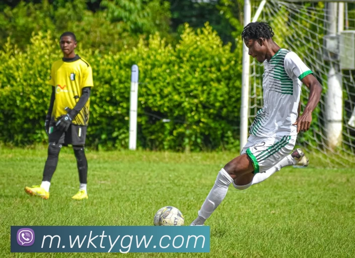 悟空体育官网平台生态图